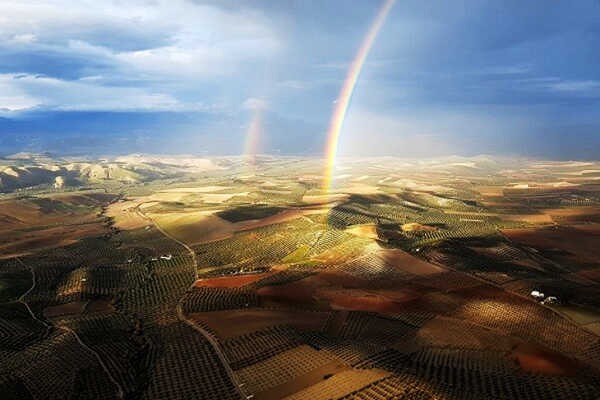 おめでとうございます!2023年サッカー女子W杯スペイン優勝